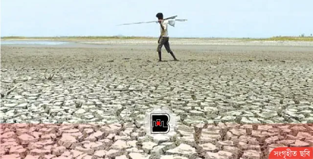 খরা, পানিসংকট ও অবহেলা: হুমকির মুখে বাংলাদেশের শস্যভান্ডার