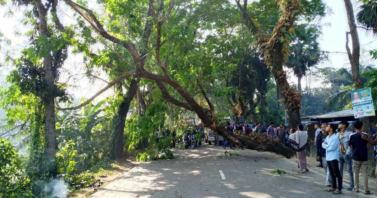 মাদারীপুরে রাতভর সড়ক অবরোধ: শেখ হাসিনার রায়কে কেন্দ্র করে ঢাকা–বরিশাল মহাসড়কে যান চলাচল বন্ধ