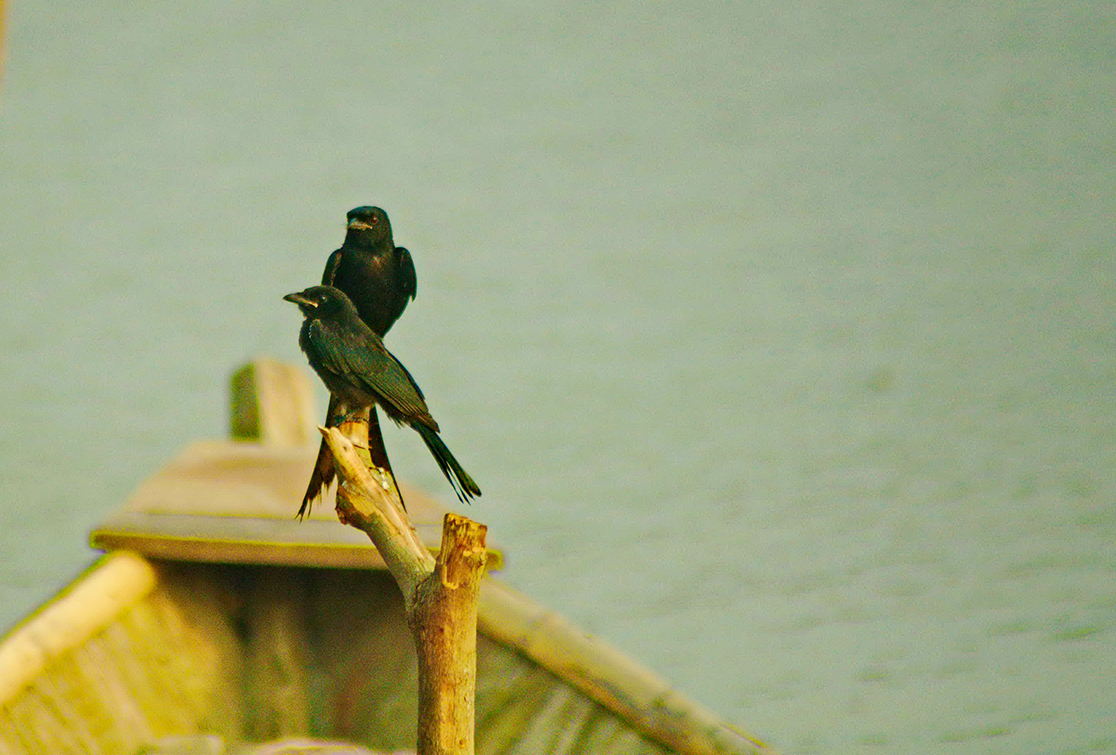 ফটোগ্যালারী ৩